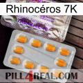 Rhinocéros 7K new12
